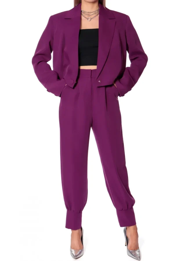 AGGI Spodnie Jamie Purple Wine^ Spodnie | Garnitury